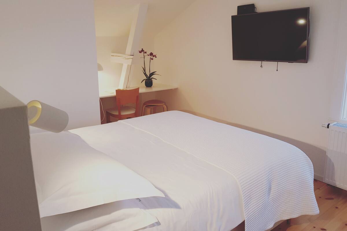 A bedroom with a bed, a desk, a chair, a potted plant, and a TV mounted on the wall.