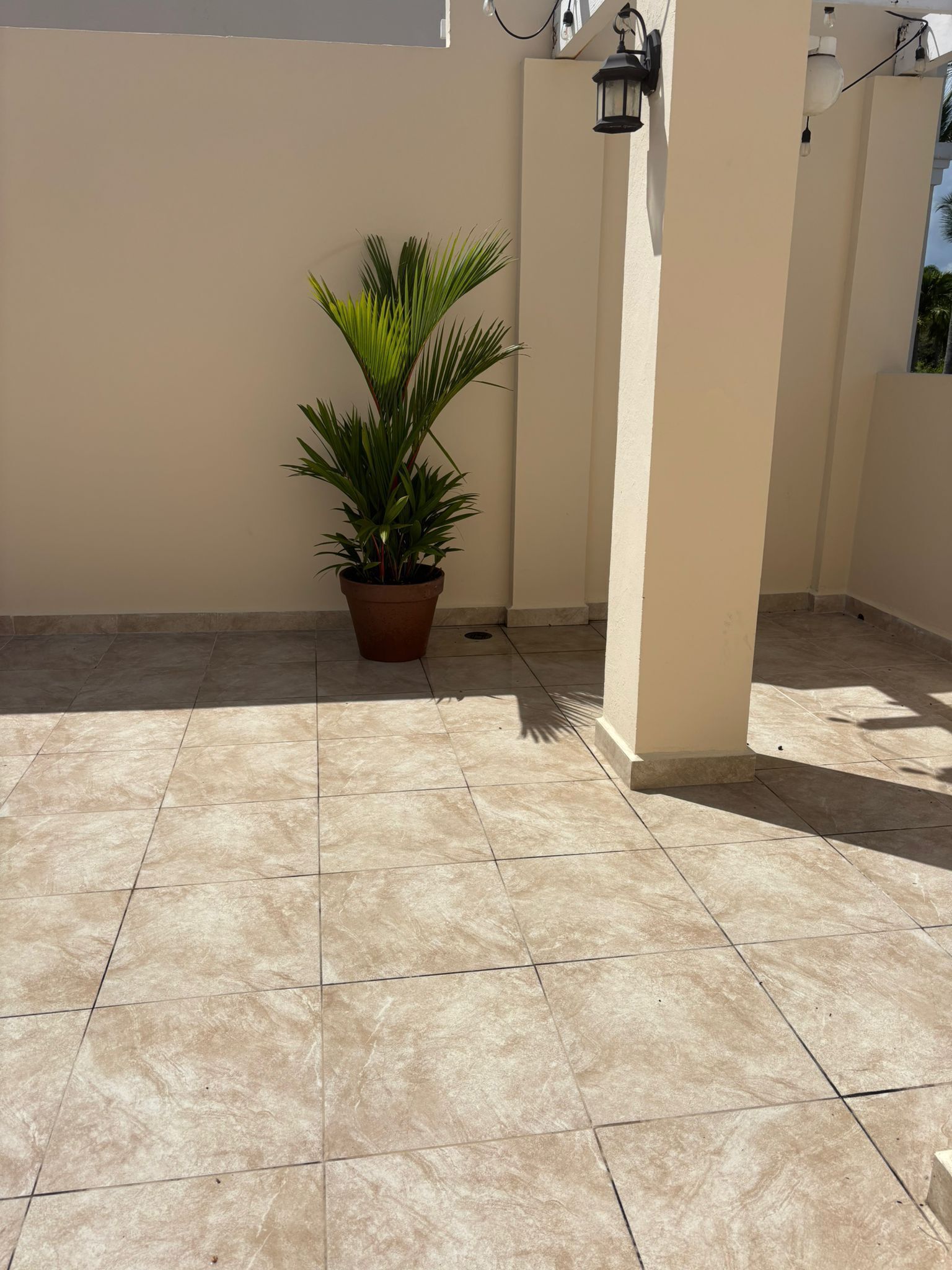 Een terras op het dak met een potpalm, betegelde vloer en een lamp.