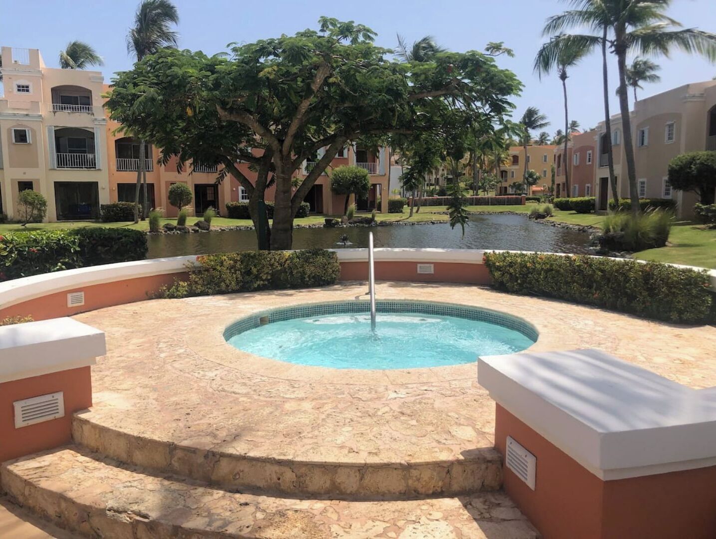 A swimming pool surrounded by a stone deck, with a palm tree and a water feature in the center.