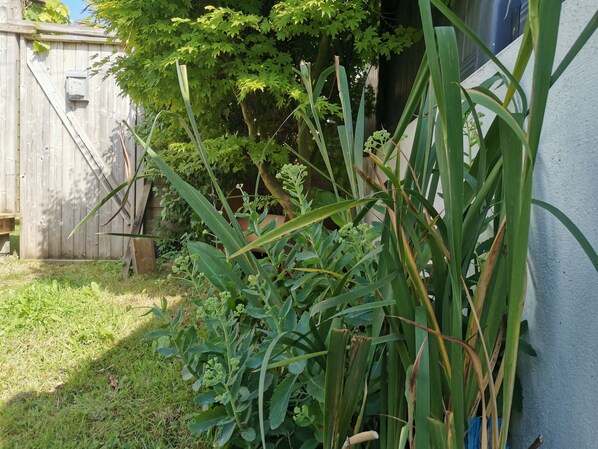 Property grounds - Charming cottage. (Brest)