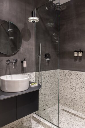 Chambre Affaires double | Salle de bain | Douche, séchoir à cheveux, serviettes fournies
