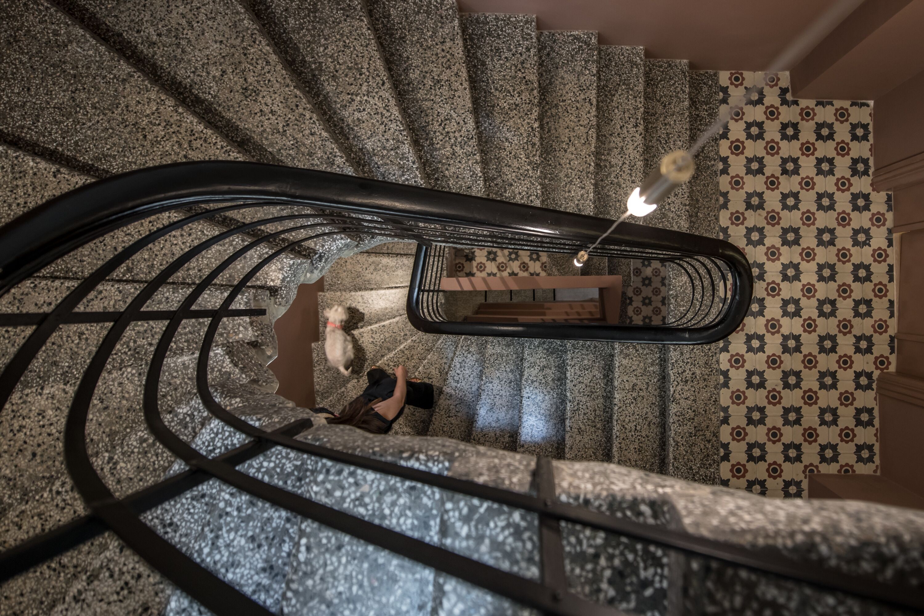 A spiral staircase with a handrail and a patterned wall.