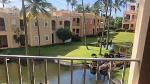 Un patio de hotel con piscina, palmeras y un pequeño estanque.