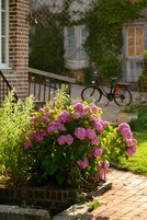 A garden with pink flowers and a brick building in the background.