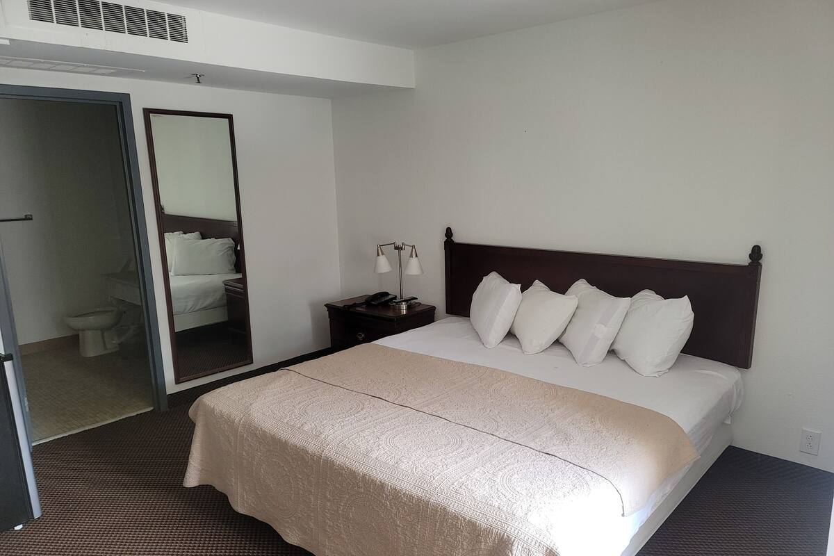A hotel room with a large bed, a bedside table with a lamp, a mirror, and a view of the bathroom.