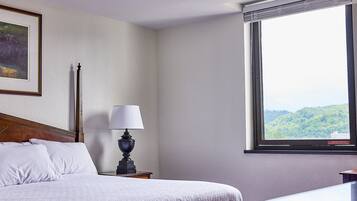 Desk, laptop workspace, iron/ironing board, free WiFi