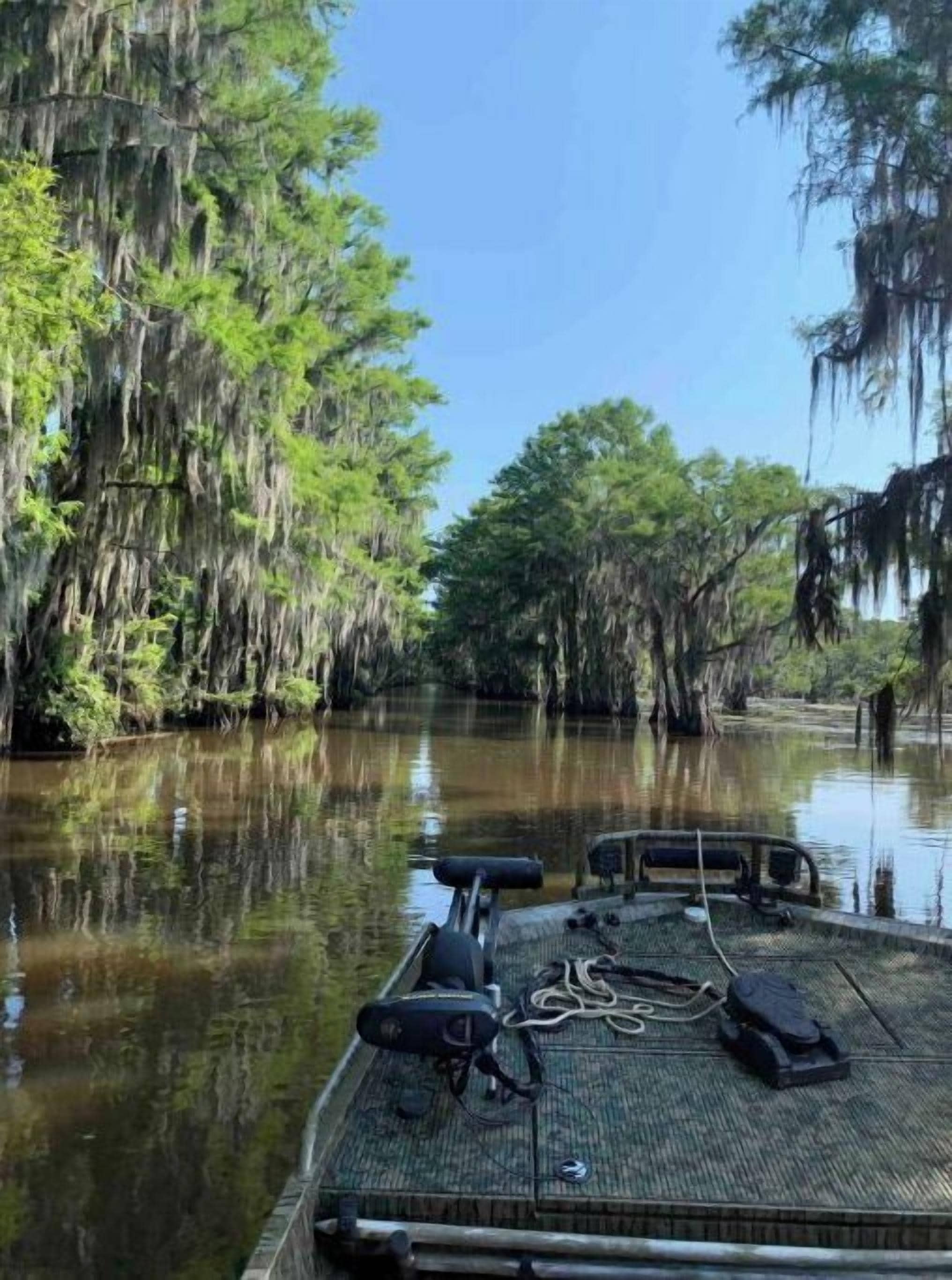 Un bateau était amarré sur une rivière paisible, bordée d’arbres touffus et dont les branches étaient ornées de longues guirlandes de mousse espagnole.