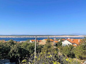 Miscelánea