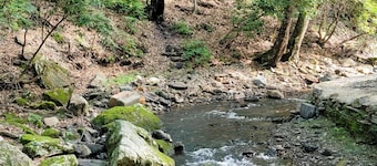 A Troutsong on Rushing Stream-Minutes to Boone!