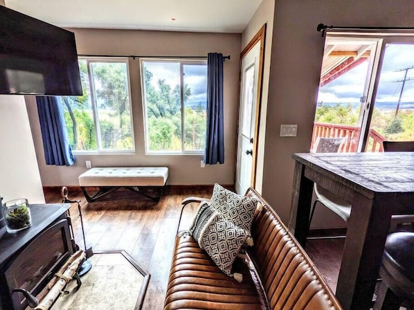 Flatscreentelevisie, een open haard, Netflix en streamingdiensten