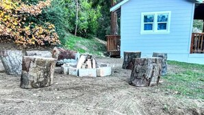 A rustic outdoor area with a fire pit surrounded by tree stumps, a blue house with a deck, and a hillside with trees and shrubs.