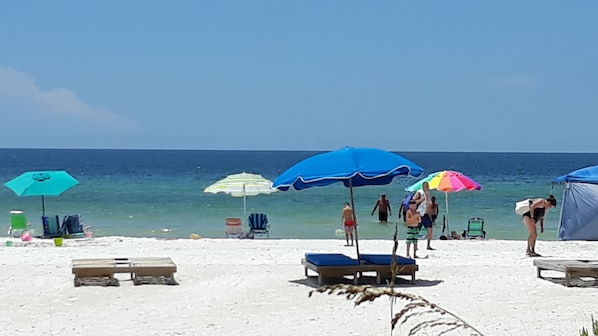 Une plage avec plusieurs parasols et des chaises longues.
