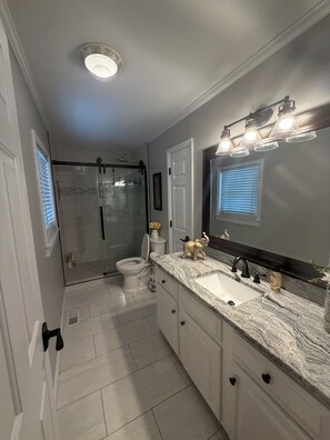 A bathroom with a shower, toilet, sink, and vanity. - Stunning Lake Gaston waterfront! Renovated 3BR 2BA with dock on an acre lot. (Henrico)