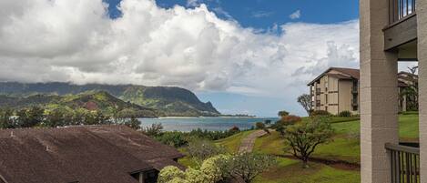A coastal residential area with a view of the ocean and mountains.