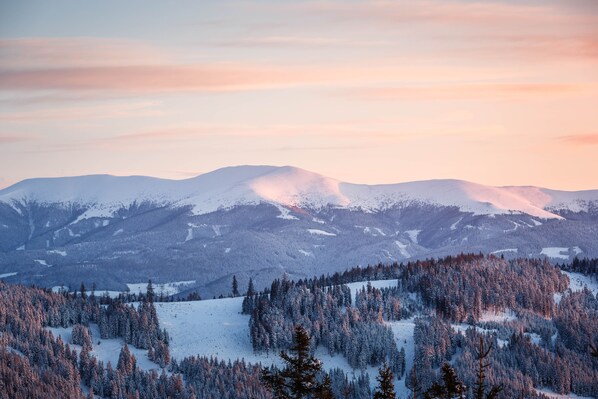 Paisagem montanhosa coberta de neve, com florestas densas e céu limpo.