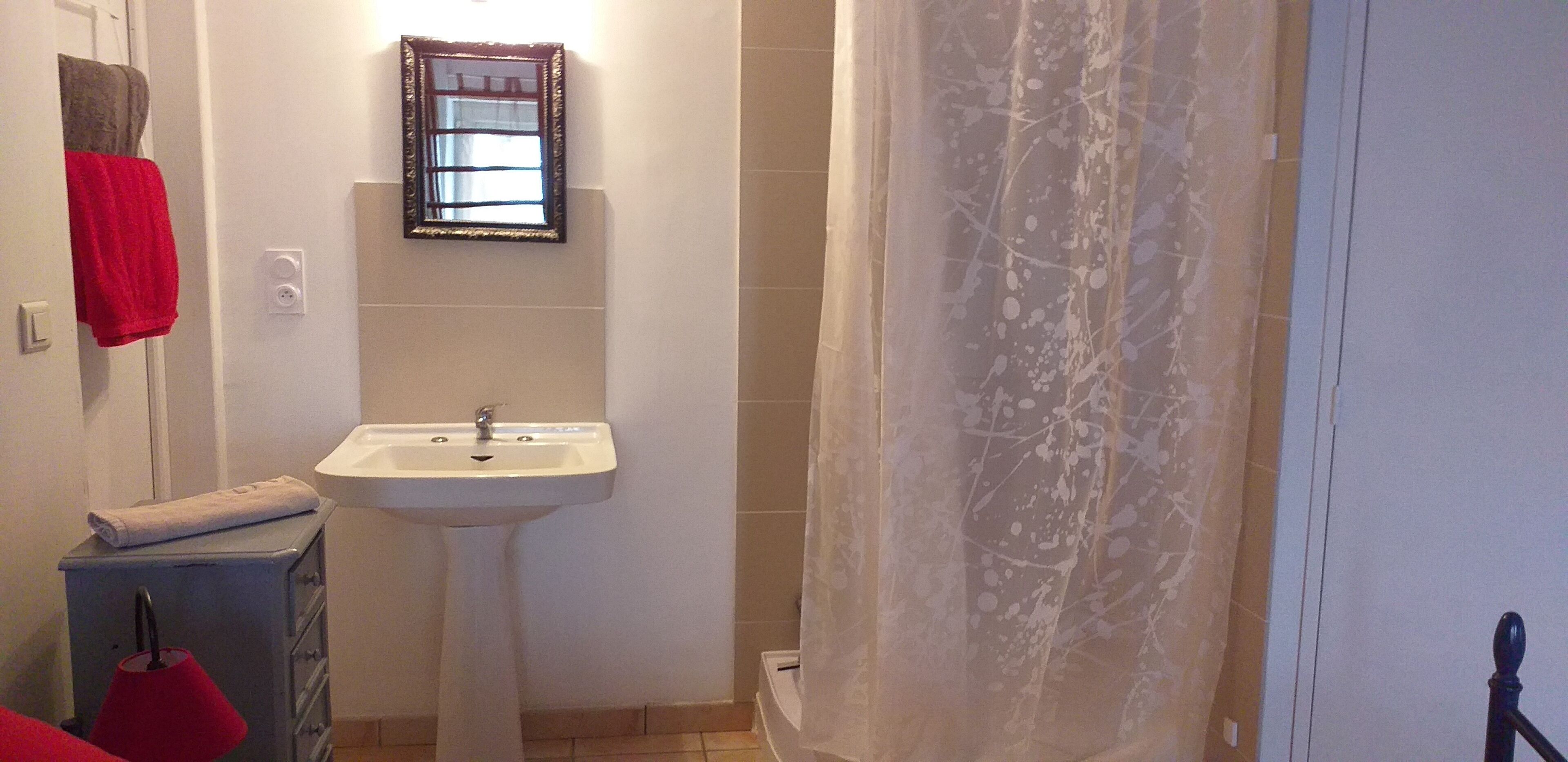 A bathroom with a white sink, a mirror, and a shower curtain.