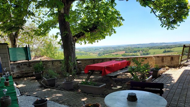An outdoor patio with a table and chairs, surrounded by potted plants and a red tablecloth.