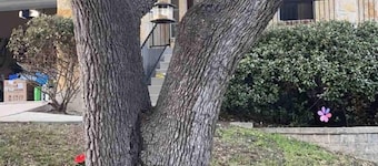 G-L-A-M Home in Alamo Ranch