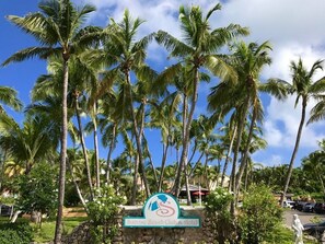 Señalización de Sunrise Beach Club & Hotel rodeado de palmeras.