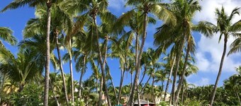 Sunrise Beach Villas #2.. Oceanfront Villa