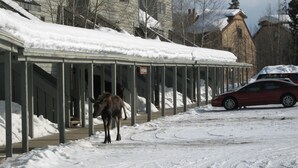 A covered outdoor area with a snow-covered roof, a red car parked nearby, and a building in the background. - Available 1 week only: 
 Prime ski week Feb 22 - March 1 Sunday - Sunday (Wilson)