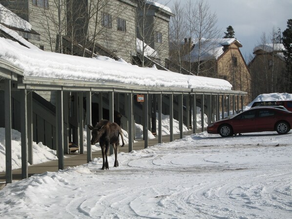 A covered outdoor area with a snow-covered roof, a red car parked nearby, and a building in the background.