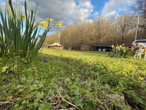 Property grounds - Nature Lovers Family Friendly Farmhouse near Pickwick Lake (Olivehill)