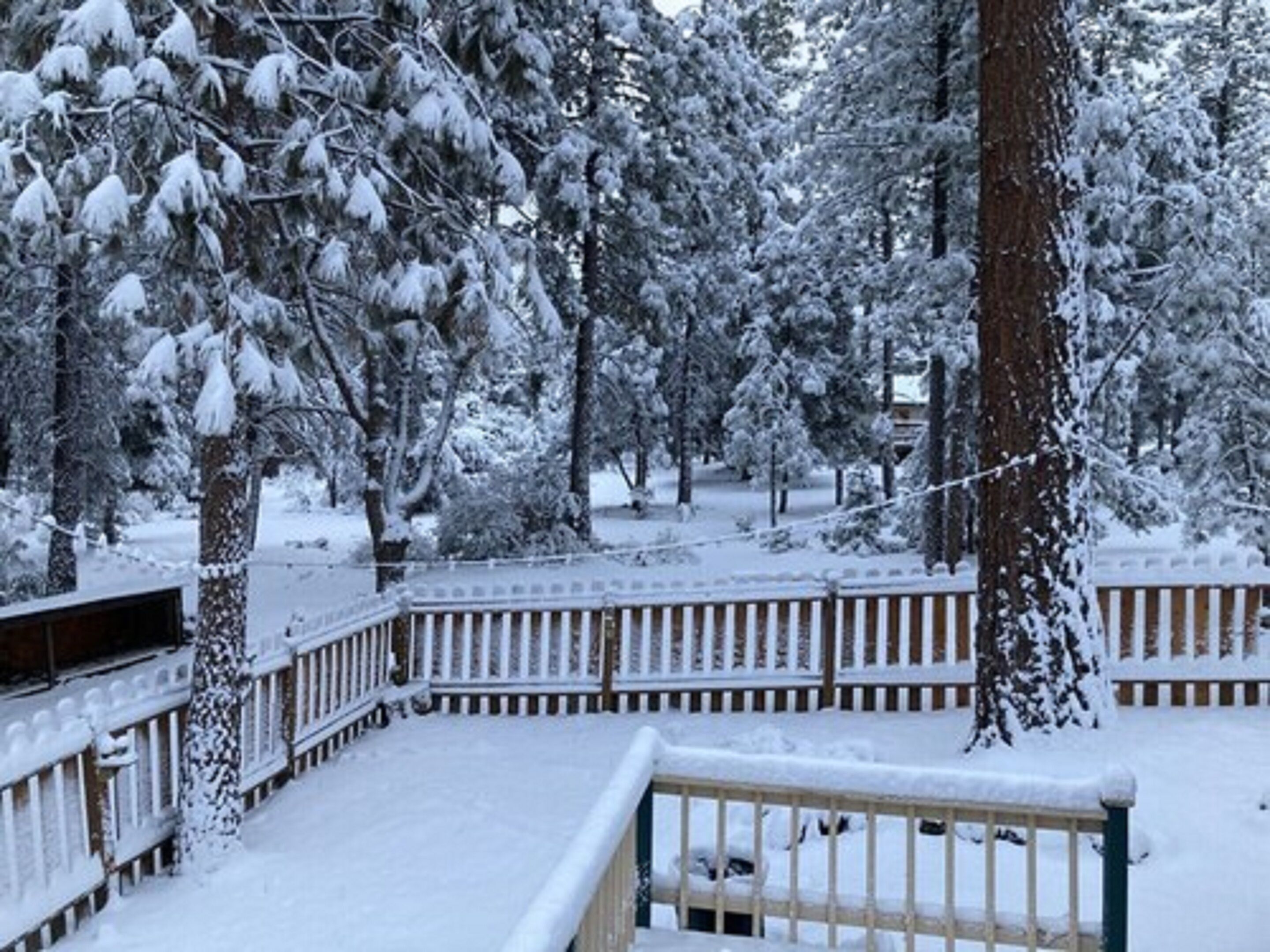 A snow-covered wooden deck with railings, surrounded by snow-laden trees.