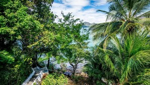 Un paisaje tropical exuberante con vegetación densa, una palmera y vista a una masa de agua.