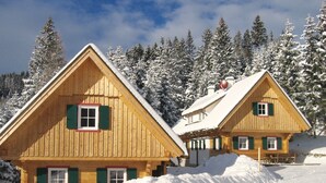 Two wooden cabins with green shutters, surrounded by snow-covered trees. - Alpin Cabin in Klippitz (Klippitztörl)