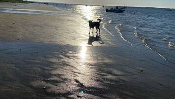 Beach nearby, sun loungers, beach towels