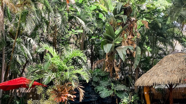 A tropical pool area with a natural rock formation, surrounded by lush greenery and a thatched-roof structure. - New Waikiki Boutique Condo 1.5 blocks to the sands of Waikiki Beach!  (Honolulu)