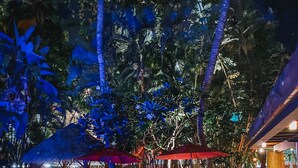 A tropical outdoor seating area with wooden lounge chairs and tables, surrounded by lush greenery and palm trees. - New Waikiki Boutique Condo 1.5 blocks to the sands of Waikiki Beach!  (Honolulu)