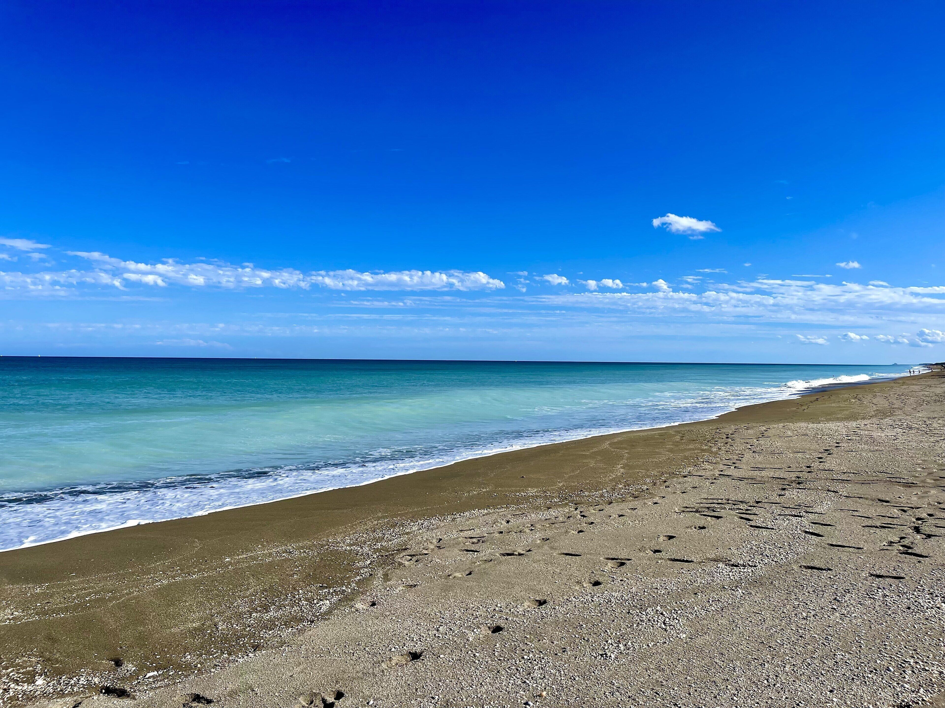 بالقرب من الشاطئ