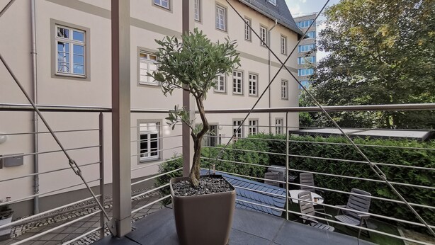 Varanda com árvore em vaso, grade de metal e vista de um edifício com várias janelas.