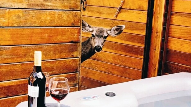 Interior de una cabaña de madera con un jacuzzi, una botella de vino y una copa.