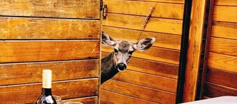 Hot Tub *Upper Canyon*King Size Bed*" Cowboy's Trail"