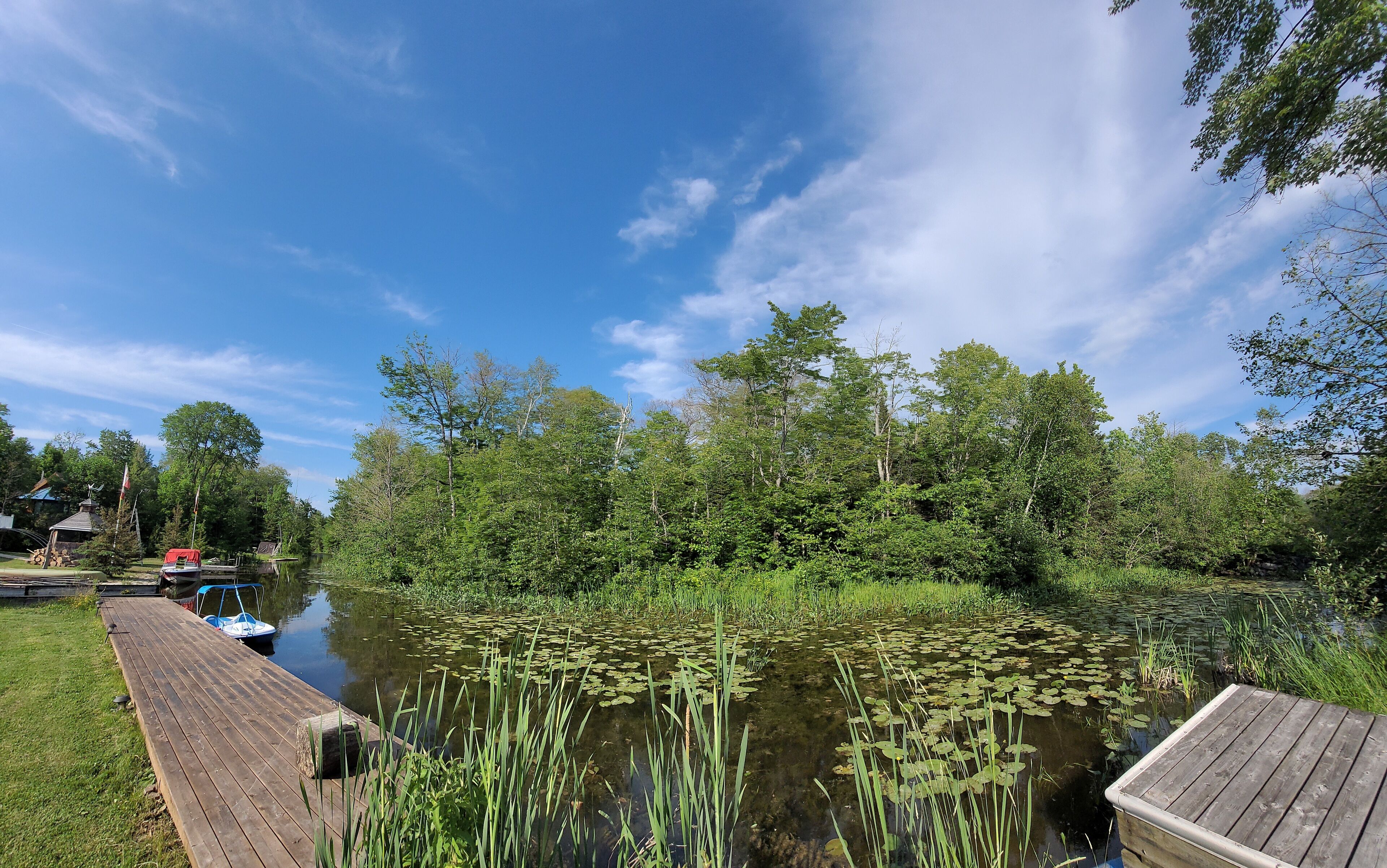 A wooden dock extending into a calm pond surrounded by lush greenery and trees.