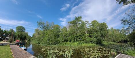 A wooden dock extending into a calm pond surrounded by lush greenery and trees.