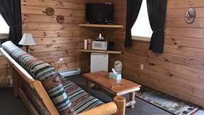 Ein Holzblockhaus-Interieur mit einer Couch, einem kleinen Tisch, einem Fernseher und einer Mikrowelle.