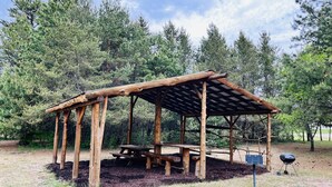 Ein hölzerner Pavillon mit Picknicktisch und Grill inmitten eines bewaldeten Geländes.