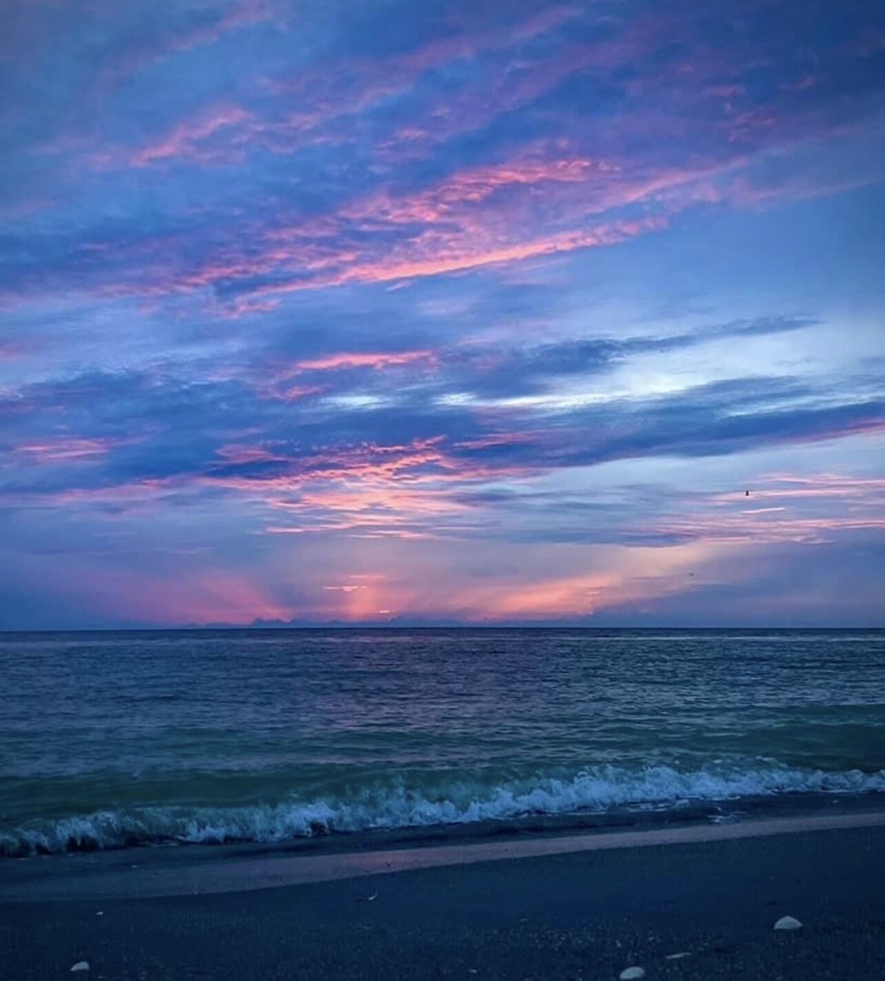 Manasota Key Inn 1 BR Suite, Private Beach Access, Dog Friendly, Full Kitchen!