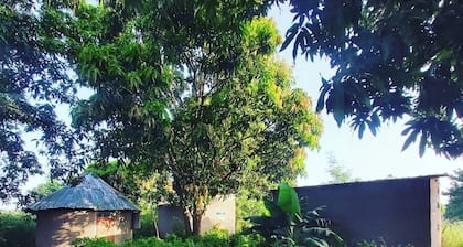 One Love Self-Catering Guesthouse @ Good Vibes Eco Lodge