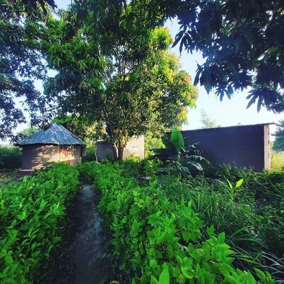 One Love Self-Catering Guesthouse @ Good Vibes Eco Lodge 