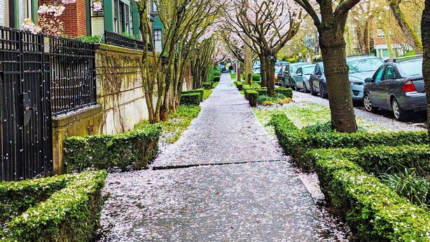 住宿地面