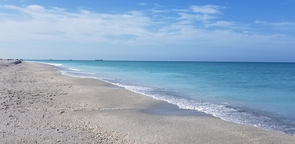 沙滩椅、沙滩毛巾