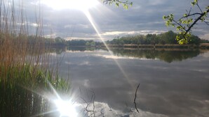 A calm lake with sunlight reflecting on the water, surrounded by tall grasses and trees. - 2-bedroom vacation home sitting on your own private lake for fishing/relaxing. (Howard)