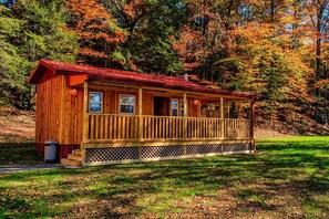 Exterior - Cuddling On The Creek Couples only romantic " TINY CABIN" retreat!!!! (Cosby)