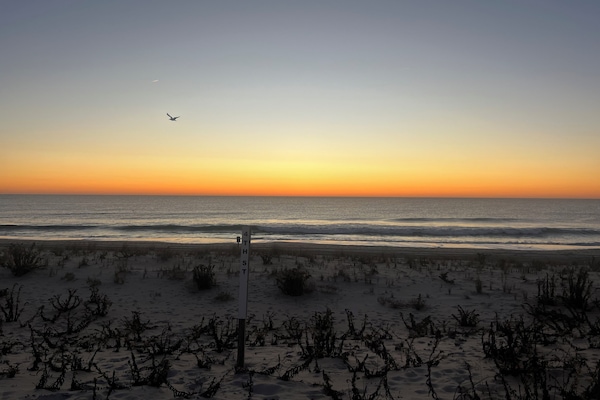 Beach nearby, sun-loungers