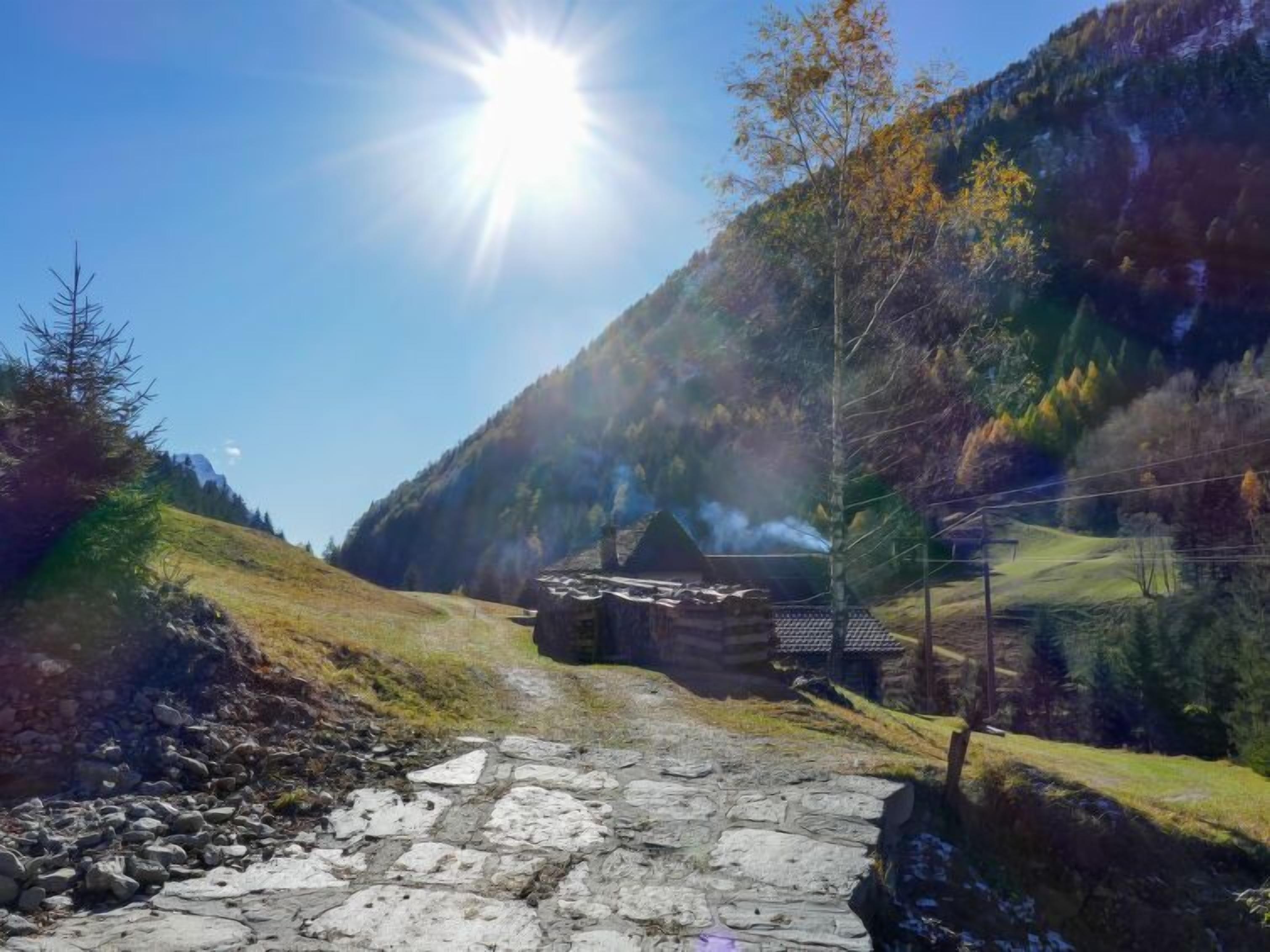 Eksteriør